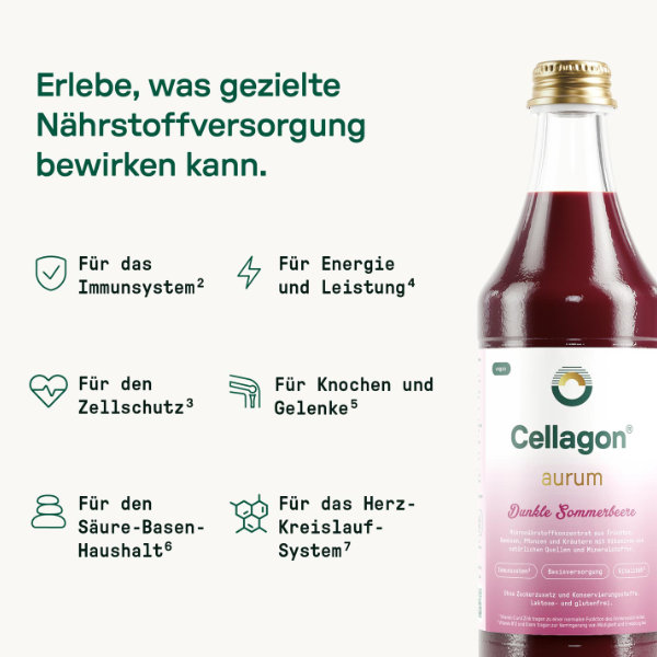 Basis-Information zu gesunder Ernährung Ernährungsberater Bernd Haber